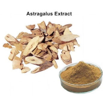 Bolinbio 주요 제품-Astragalus Extract Astragaloside
