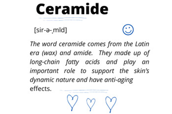 피부와 건강을 위한 세라마이드에 대해 무엇을 알아야 합니까?